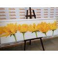 CANVAS PRINT BEAUTIFUL YELLOW FLOWERS - PICTURES FLOWERS - PICTURES