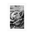 AFFICHE AVEC MONTURE ÉLÉGANTE ROSE VINTAGE EN NOIR ET BLANC - NOIR ET BLANC - AFFICHES