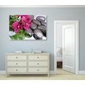 CANVAS PRINT BLOOMING ORCHID AND WELLNESS STONES - PICTURES FENG SHUI - PICTURES