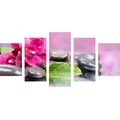 5-PIECE CANVAS PRINT ORCHID WITH A HINT OF RELAXATION - PICTURES FENG SHUI - PICTURES