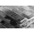 CANVAS PRINT COASTAL CITY IN BLACK AND WHITE - BLACK AND WHITE PICTURES - PICTURES