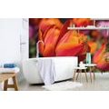 SELF ADHESIVE WALL MURAL BEAUTIFUL TULIPS IN THE MEADOW - SELF-ADHESIVE WALLPAPERS - WALLPAPERS