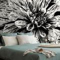 PAPIER PEINT DAHLIA EXOTIQUE EN NOIR ET BLANC - PAPIER PEINT NOIR ET BLANC - PAPIER PEINT