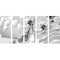 5-PIECE CANVAS PRINT BLACK AND WHITE ORCHID ON AN ABSTRACT BACKGROUND - BLACK AND WHITE PICTURES - PICTURES