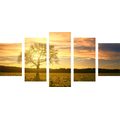 5-PIECE CANVAS PRINT LONELY TREE - PICTURES OF TREES AND LEAVES - PICTURES