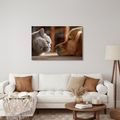 WANDBILD KATZENBLICK UND HUNDEFREUNDSCHAFT - BILDER TIERE - BILDER