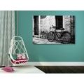 CANVAS PRINT RETRO BICYCLE IN BLACK AND WHITE - BLACK AND WHITE PICTURES - PICTURES