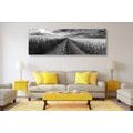 CANVAS PRINT SUNSET OVER A FIELD IN SLOVAKIA IN BLACK AND WHITE - BLACK AND WHITE PICTURES - PICTURES