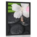 POSTER – NATURA MORTA WELLNESS - FENG SHUI - POSTER