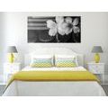 CANVAS PRINT WELLNESS STILL LIFE IN BLACK AND WHITE - BLACK AND WHITE PICTURES - PICTURES