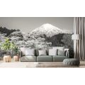 SELF ADHESIVE WALL MURAL MOUNT FUJI IN BLACK AND WHITE - SELF-ADHESIVE WALLPAPERS - WALLPAPERS