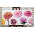 CANVAS PRINT DAHLIA FLOWERS IN A DIVERSE DESIGN - PICTURES FLOWERS - PICTURES