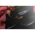 CANVAS PRINT OF A SOOTHING ZEN STILL LIFE - PICTURES FENG SHUI - PICTURES