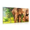 CANVAS PRINT ELEPHANT FAMILY - PICTURES OF ANIMALS - PICTURES