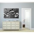 CANVAS PRINT POPPIES IN AN ETHNO TOUCH IN BLACK AND WHITE - BLACK AND WHITE PICTURES - PICTURES