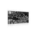 CANVAS PRINT FLORAL ILLUSTRATION IN BLACK AND WHITE - BLACK AND WHITE PICTURES - PICTURES