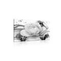 CANVAS PRINT LUXURY ROSE WITH AN ABSTRACTION IN BLACK AND WHITE - BLACK AND WHITE PICTURES - PICTURES