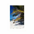 POSTER WITH MOUNT WONDERS OF ANSE SOURCE BEACH - NATURE - POSTERS