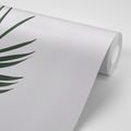 SELF ADHESIVE WALL MURAL BEAUTIFUL PALM LEAF - SELF-ADHESIVE WALLPAPERS - WALLPAPERS