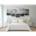 5-PIECE CANVAS PRINT LONELY TREE IN BLACK AND WHITE - BLACK AND WHITE PICTURES - PICTURES