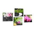 CANVAS PRINT SET FENG SHUI STILL LIFE - SET OF PICTURES - PICTURES