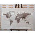 DECORATIVE PINBOARD BEAUTIFUL BLACK AND WHITE MAP OF THE WORLD - PICTURES ON CORK - PICTURES