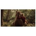 WANDBILD MÄDCHEN UND BÄR - WANDBILDER BÄREN - BILDER