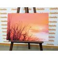 CANVAS PRINT COLORFUL SKY - PICTURES OF NATURE AND LANDSCAPE - PICTURES