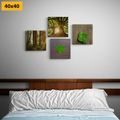 CANVAS PRINT SET BREEZE OF NATURE - SET OF PICTURES - PICTURES