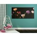 CANVAS PRINT ELEGANT FLOWERS ON A DARK BACKGROUND - PICTURES FLOWERS{% if product.category.pathNames[0] != product.category.name %} - PICTURES{% endif %}