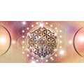 CANVAS PRINT CHARMING MANDALA - PICTURES FENG SHUI - PICTURES