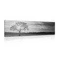 CANVAS PRINT LONELY TREE IN BLACK AND WHITE - BLACK AND WHITE PICTURES - PICTURES