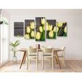 5-PIECE CANVAS PRINT CHARMING YELLOW TULIPS ON A WOODEN BACKGROUND - PICTURES FLOWERS - PICTURES