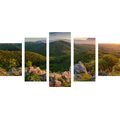 TABLEAU EN 5 PARTIES – NATURE BAIGNÉE DE SOLEIL - TABLEAUX DE LA NATURE ET DES PAYSAGES - TABLEAUX