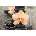 WANDBILD GELBE ORCHIDEE UND ZEN-STEINE - BILDER MIT FENG SHUI-MOTIVEN - BILDER