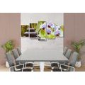 5-PIECE CANVAS PRINT SPA STILL LIFE - PICTURES FENG SHUI - PICTURES