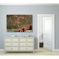 CANVAS PRINT AUTUMN STILL LIFE - STILL LIFE PICTURES{% if product.category.pathNames[0] != product.category.name %} - PICTURES{% endif %}