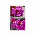 POSTER MIT PASSEPARTOUT WUNDERSCHÖNE ORCHIDEE UND ZEN-STEINE - FENG SHUI - POSTER