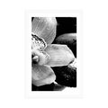 POSTER MIT PASSEPARTOUT EXOTISCHE ORCHIDEE IN SCHWARZ-WEISS - SCHWARZ-WEISS - POSTER