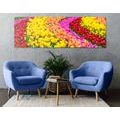 WANDBILD BUNTE TULPEN - BILDER BLUMEN - BILDER