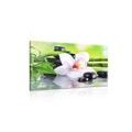WANDBILD JAPANISCHE ORCHIDEE - BILDER MIT FENG SHUI-MOTIVEN - BILDER