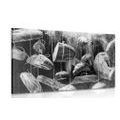 CANVAS PRINT HANGING PASTRIES ON A ROPE IN BLACK AND WHITE - BLACK AND WHITE PICTURES - PICTURES