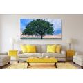 CANVAS PRINT LONELY OAK - PICTURES OF NATURE AND LANDSCAPE - PICTURES