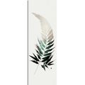 CANVAS PRINT FINE FERN LEAF - PICTURES OF TREES AND LEAVES - PICTURES