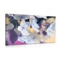 CANVAS PRINT BLOSSOMING CHERRY BRANCH - PICTURES FLOWERS - PICTURES