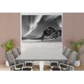 CANVAS PRINT NORTHERN LIGHTS IN NORWAY IN BLACK AND WHITE - BLACK AND WHITE PICTURES - PICTURES