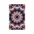 POSTER MANDALA WITH INTERESTING ELEMENTS IN THE BACKGROUND - FENG SHUI - POSTERS