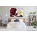 CANVAS PRINT FLOWERS IN A BOWL WITH ZEN STONES - PICTURES FLOWERS - PICTURES