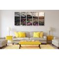 5-PIECE CANVAS PRINT MEADOW OF BLOOMING FLOWERS - PICTURES OF NATURE AND LANDSCAPE - PICTURES