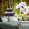 WALL MURAL SPA STILL LIFE - WALLPAPERS FENG SHUI - WALLPAPERS